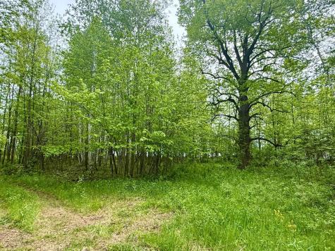 1065 105th Avenue Milaca MN 56353