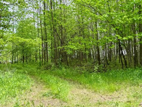 1065 105th Avenue Milaca MN 56353