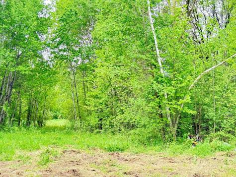 1065 105th Avenue Milaca MN 56353