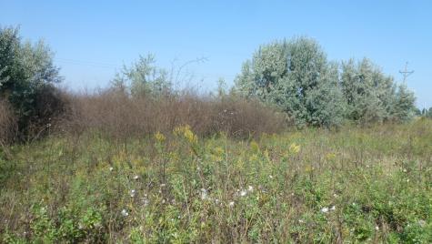 6655 Us 10 Highway Glyndon MN 56547