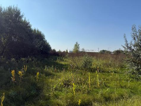 6655 Us 10 Highway Glyndon MN 56547