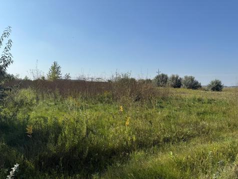 6655 Us 10 Highway Glyndon MN 56547