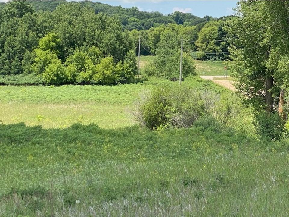 Lot C 113th Street Ashby MN 56309