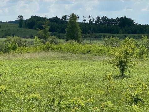 Lot C 113th Street Ashby MN 56309