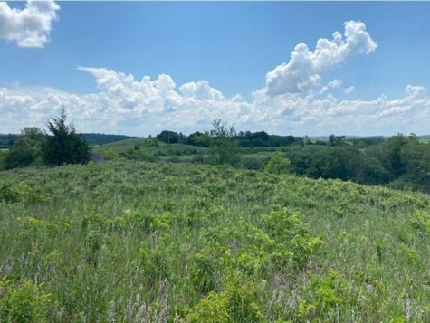 Lot C 113th Street Ashby MN 56309