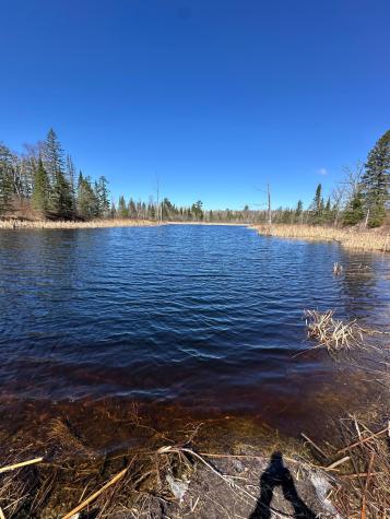 Tbd Court 307 Blackduck MN 56630