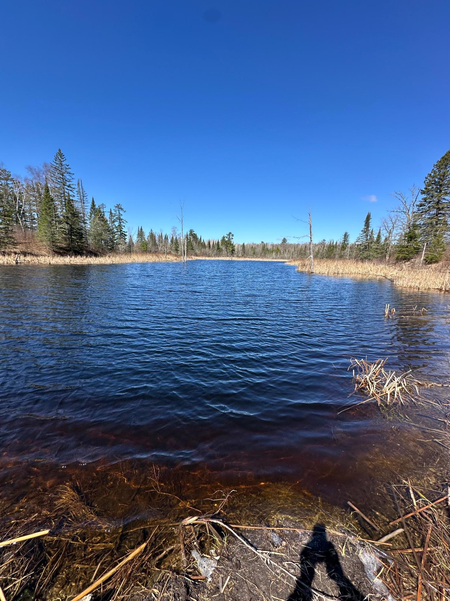 Tbd Court 307 Blackduck MN 56630