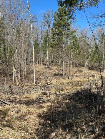 Tbd Court 307 Blackduck MN 56630