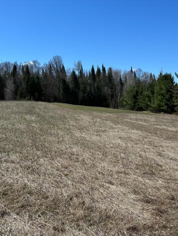 Tbd Court 307 Blackduck MN 56630