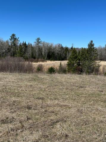 Tbd Court 307 Blackduck MN 56630