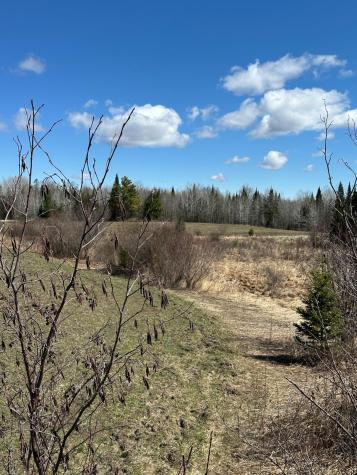 Tbd Court 307 Blackduck MN 56630