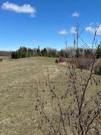 Tbd Court 307 Blackduck MN 56630