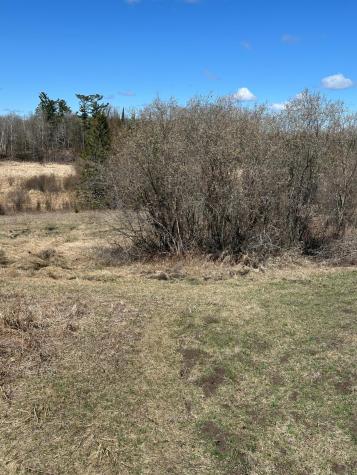 Tbd Court 307 Blackduck MN 56630