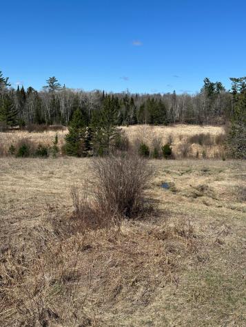 Tbd Court 307 Blackduck MN 56630