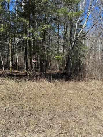 Tbd Court 307 Blackduck MN 56630