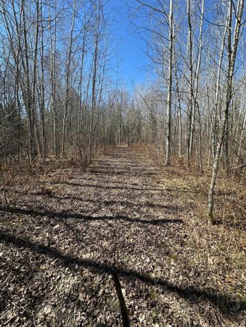 Tbd Court 307 Blackduck MN 56630
