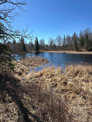 Tbd Court 307 Blackduck MN 56630