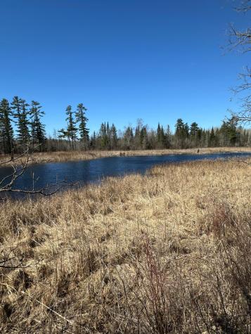 Tbd Court 307 Blackduck MN 56630
