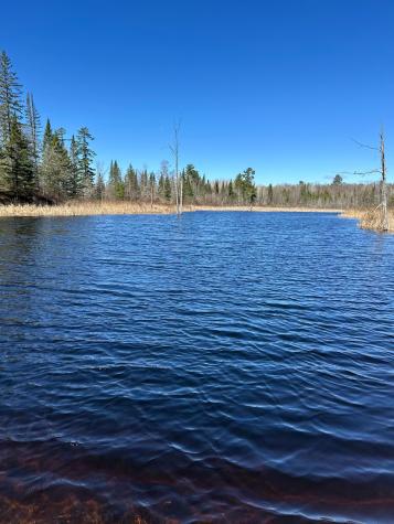 Tbd Court 307 Blackduck MN 56630