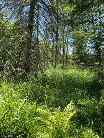 Tbd 70th Street NE Remer MN 56672