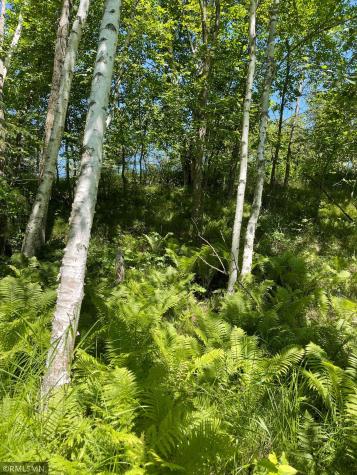 Tbd 70th Street NE Remer MN 56672