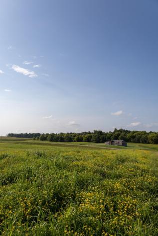 L1B1 Boelter Estates Drive NW Rochester MN 55901