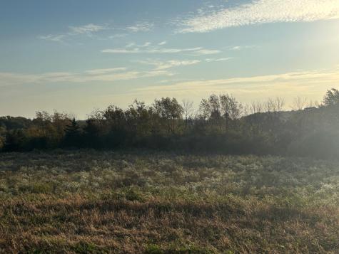 241 6th Street SE Dover MN 55929