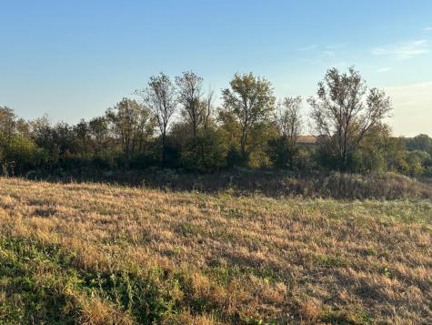 241 6th Street SE Dover MN 55929