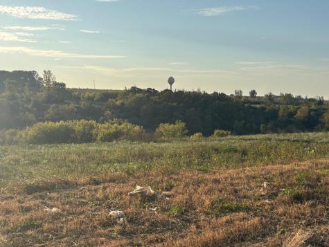 241 6th Street SE Dover MN 55929