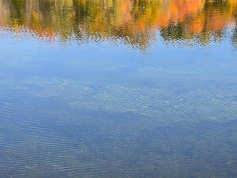 Tract I Blybergs Lane Pelican Rapids MN 56572