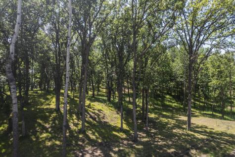 Tract I Blybergs Lane Pelican Rapids MN 56572