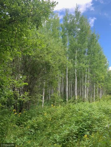 Tbd Burtness Road Field Twp MN 55723