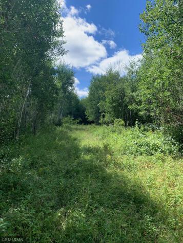 Tbd Burtness Road Field Twp MN 55723