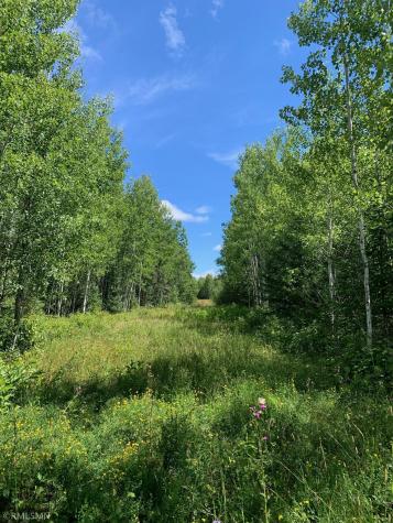 Tbd Burtness Road Field Twp MN 55723