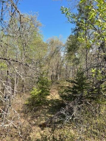 Tbd Mikes Road SW Bemidji MN 56601