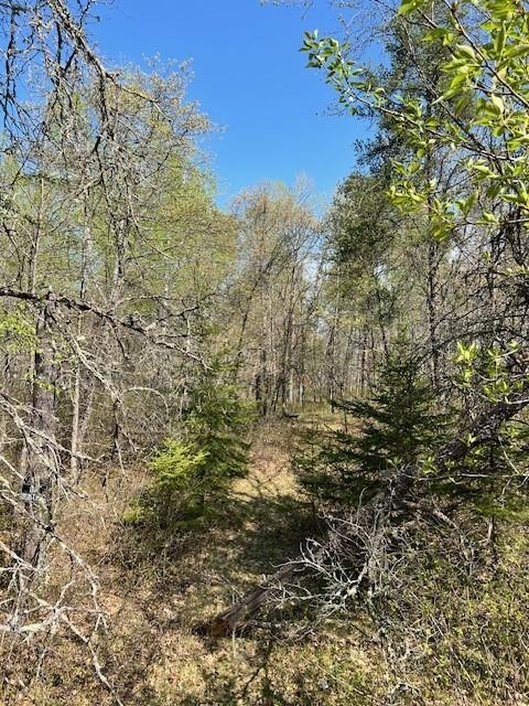 Tbd Mikes Road SW Bemidji MN 56601