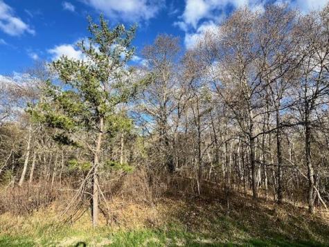 Tbd Mikes Road SW Bemidji MN 56601