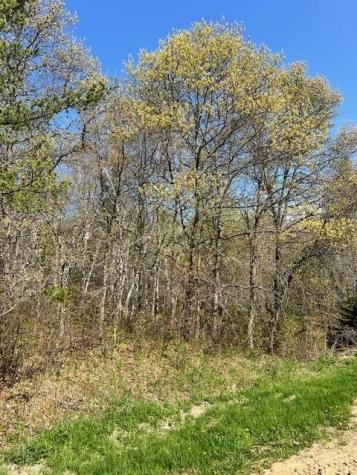 Tbd Mikes Road SW Bemidji MN 56601