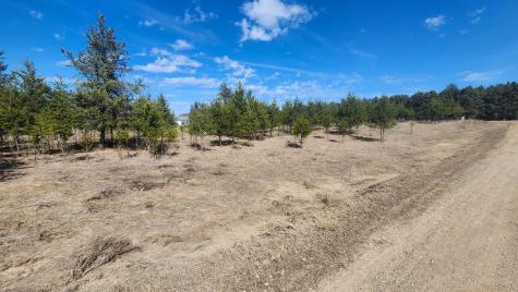Tbd East Street Breezy Point MN 56472