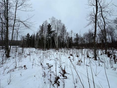 Tbd #4 Koecher Road Kerrick MN 55756