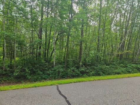 Lot 3 Blk 2 SW 1st Avenue Grand Rapids MN 55744