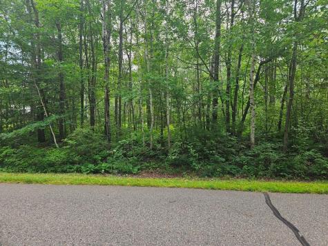 Lot 3 Blk 2 SW 1st Avenue Grand Rapids MN 55744