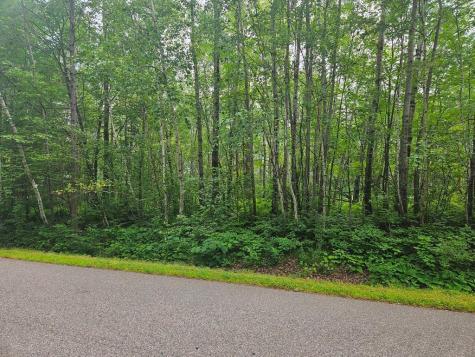 Lot 3 Blk 2 SW 1st Avenue Grand Rapids MN 55744
