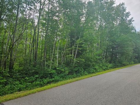 Lot 3 Blk 2 SW 1st Avenue Grand Rapids MN 55744