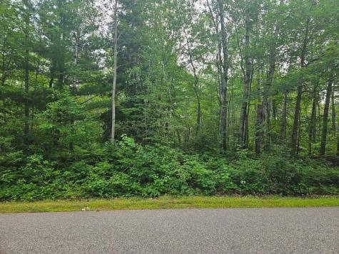 Lot 3 Blk 2 SW 1st Avenue Grand Rapids MN 55744