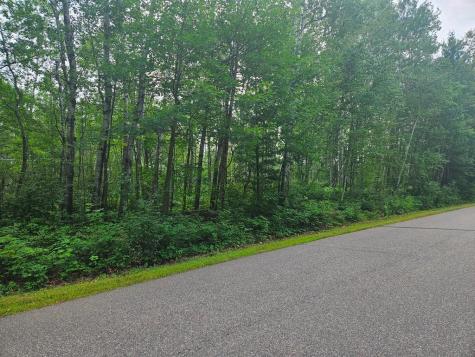 Lot 3 Blk 2 SW 1st Avenue Grand Rapids MN 55744