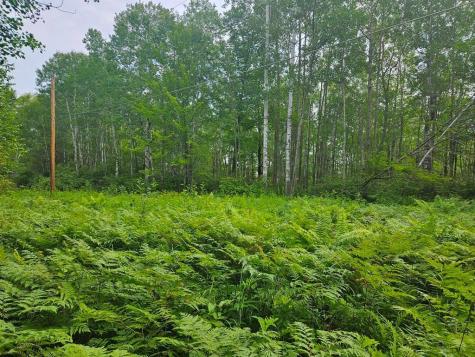 Lot 3 Blk 2 SW 1st Avenue Grand Rapids MN 55744