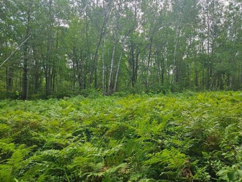 Lot 3 Blk 2 SW 1st Avenue Grand Rapids MN 55744