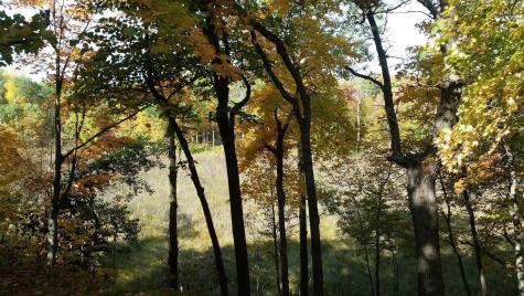 897 White Clover Beach Road Detroit Lakes MN 56501