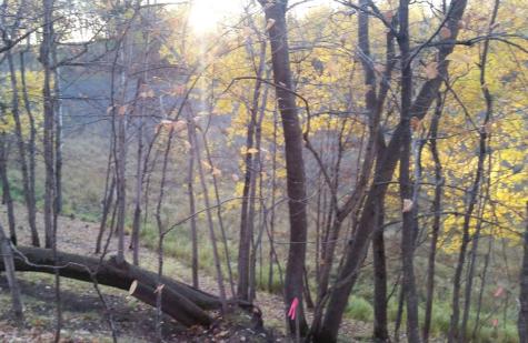 897 White Clover Beach Road Detroit Lakes MN 56501